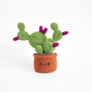 Amigurumi Cactus Free Crochet Patterns – Free Amigurumi Patterns